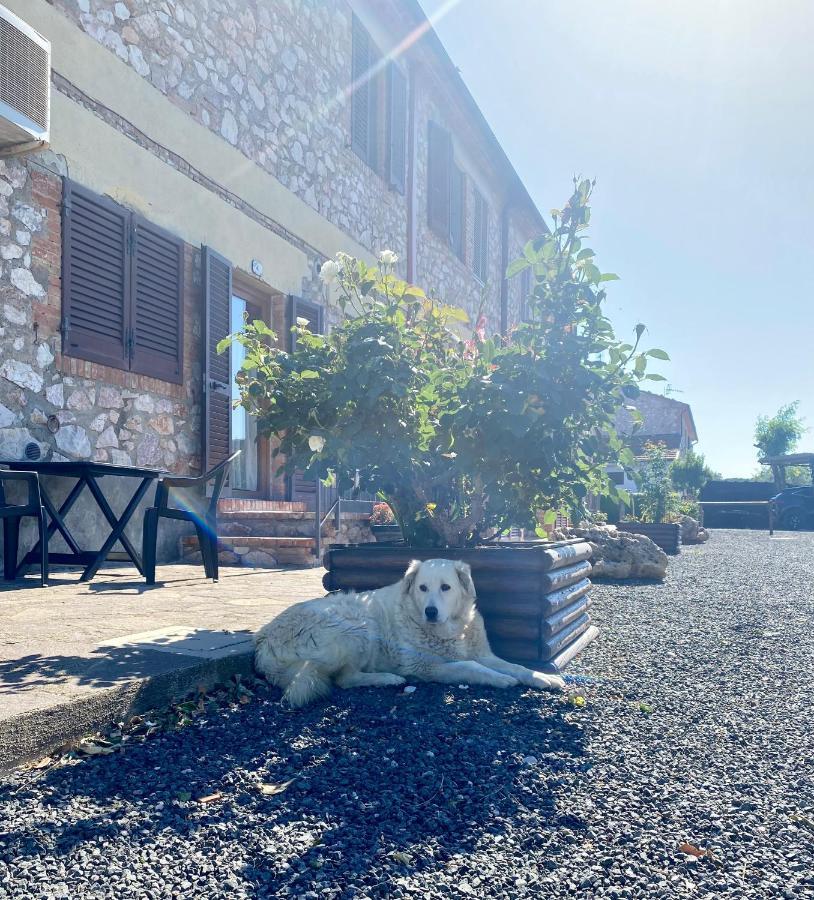 Casa Vacanze Arcobaleno Grosseto Dış mekan fotoğraf